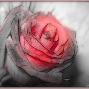 Meet your Posher, Lynn